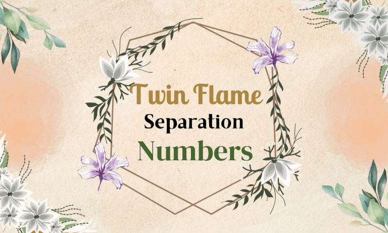 Twin Flame Separation Numbers And Their Significance